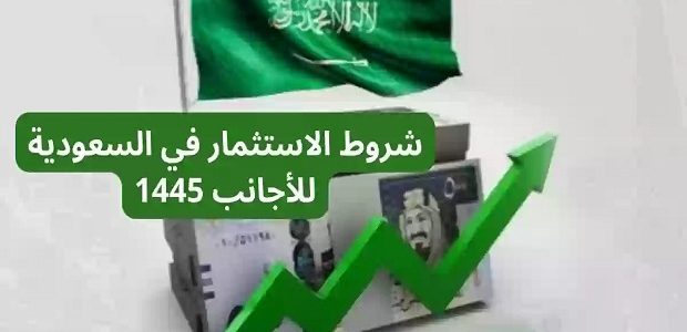 المنصة الوطنية توضح شروط الاستثمار في السعودية للأجانب 1 شروط الاستثمار في السعودية للاجانب