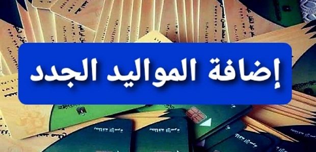الفئات المستحقة لإضافة المواليد .. طريقة إضافة المواليد على بطاقة التموين 2026 1 الفئات المستحقة لاضافة المواليد