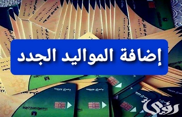 الفئات المستحقة لإضافة المواليد .. طريقة إضافة المواليد على بطاقة التموين 2026