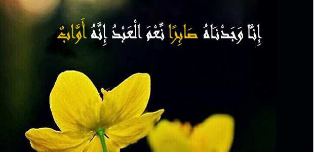 من هو النبي الذي جاء بعد يوسف 1 من هو النبي الذي جاء بعد يوسف