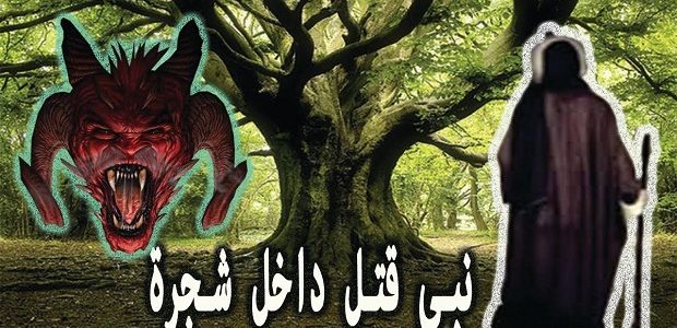 من هو النبي الذي هلك بالخشب 1 من هو النبي الذي هلك بالخشب