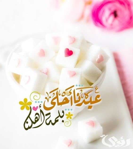 الرد على عيد فطر سعيد .. لو حد قالي عيد سعيد أرد ايه