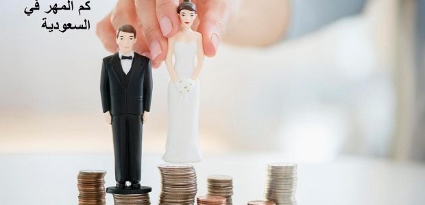 تكاليف المِلكة في السعودية 1 تكاليف المِلكة في السعودية