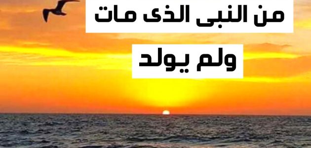 من هو النبي الذي مات ولم يولد 1 من هو النبي الذي مات ولم يولد