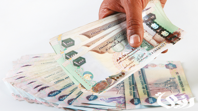 الإمارات تعلن عن منحة 100 ألف درهم للمبدعين