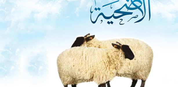 "منصة متى" تحدد خطوات وموعد حجز موعد ذبح الأضحية في الكويت 2026 والشروط المطلوبة 1 كيفية حجز موعد ذبح الأضحية في الكويت 2024 والشروط المطلوبة