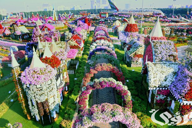 موعد وخطوات حجز حجز تذاكر “حديقة الزهور” في دبي وأسعارها 2026