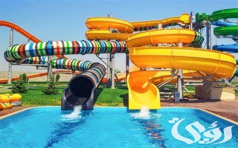 أسعار تذاكر الدخول إلى مربى الشارقة للأحياء المائية الآراء ومواعيد العمل 2026