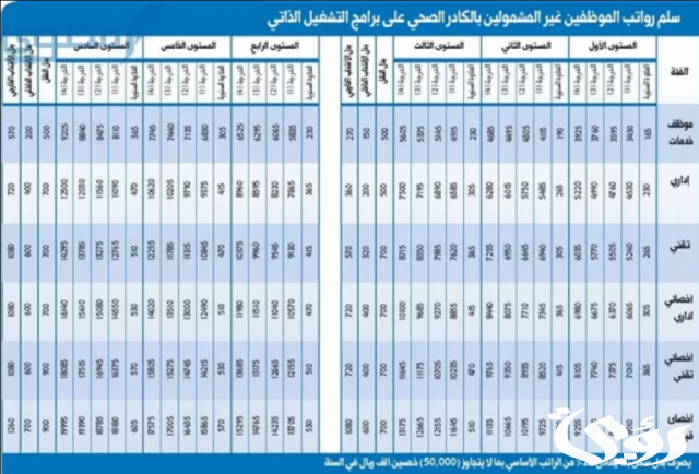 سلم رواتب التشغيل الذاتي مع البدلات والحوافز سلم رواتب التشغيل الذاتي مع البدلات والحوافز