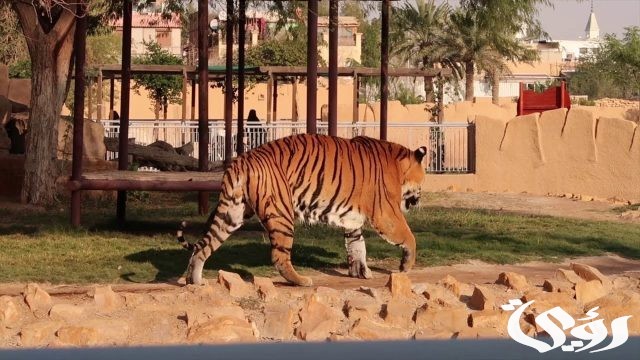 رسوم دخول حديقة الحيوان بالدمام ومواعيد الدخول