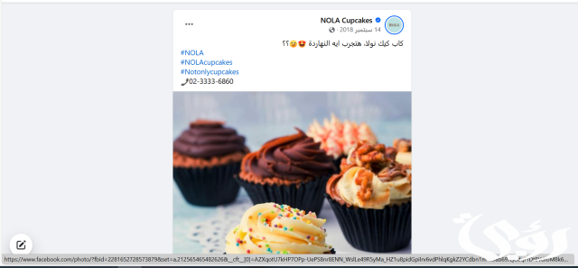 فروع نولا كب كيك العناوين و رقم التواصل 2024