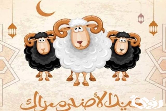 رسائل عيد الاضحي