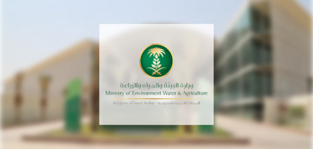 "بيئة مكة" تكثف أعمالها في مكة لتوفير الأجواء الصحية الآمنة 1 مع أول أيام العيد.. "بيئة مكة" تكثف أعمالها في العاصمة المقدسة لتوفير الأجواء الصحية الآمنة