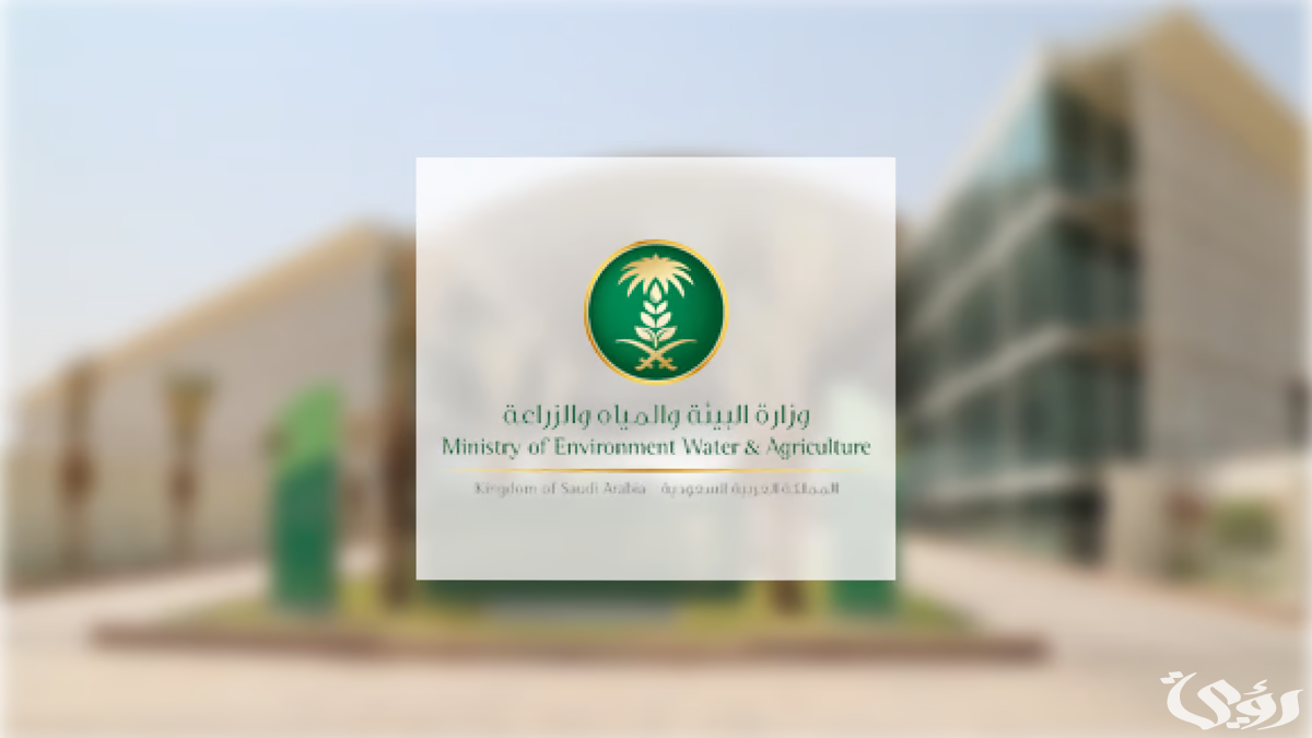 “بيئة مكة” تكثف أعمالها في مكة لتوفير الأجواء الصحية الآمنة