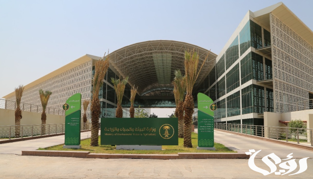 مع أول أيام العيد.. "بيئة مكة" تكثف أعمالها في العاصمة المقدسة لتوفير الأجواء الصحية الآمنة مع أول أيام العيد.. "بيئة مكة" تكثف أعمالها في العاصمة المقدسة لتوفير الأجواء الصحية الآمنة