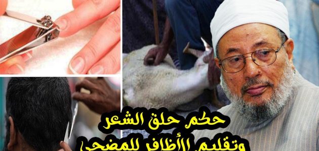 "هيئة كبار العلماء" اجتناب تقليم الأظافر وقص الشعر للمضحي في العشر مستحب وليس واجبًا 1 "المطلق": اجتناب تقليم الأظافر وقص الشعر للمضحي في العشر.. مستحب وليس واجبًا