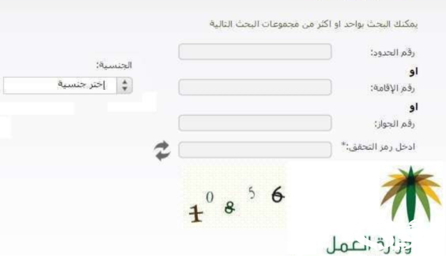 الاستعلام عن حالة وافد في السعودية الاستعلام عن حالة وافد في السعودية