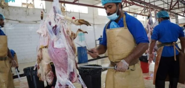 في وقت قياسي.. 15 ألف أضحية استقبلتها مسالخ جازان في العيد 1 وقت قياسي وانسيابية ورقابة.. 15 ألف أضحية استقبلتها مسالخ جازان في العيد