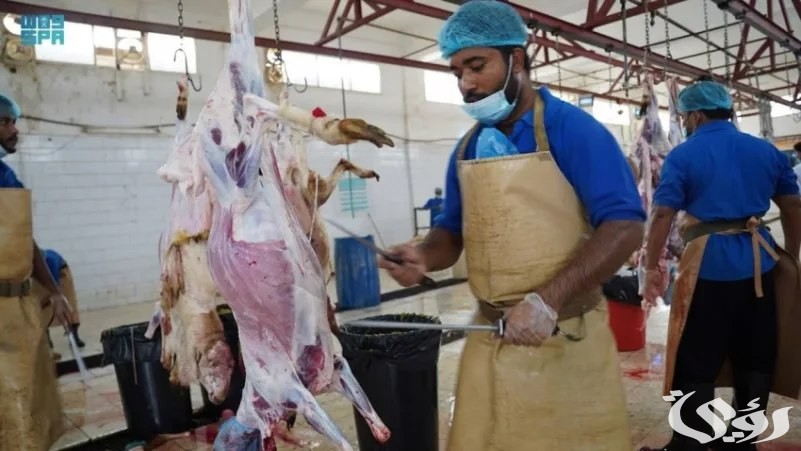 في وقت قياسي.. 15 ألف أضحية استقبلتها مسالخ جازان في العيد