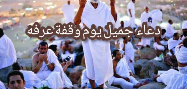 "30" دعاء يوم عرفة لعائلتي مستجاب.. أدعية يوم عرفة لغير الحجاج والحجاج 1 دعاء يوم عرفة