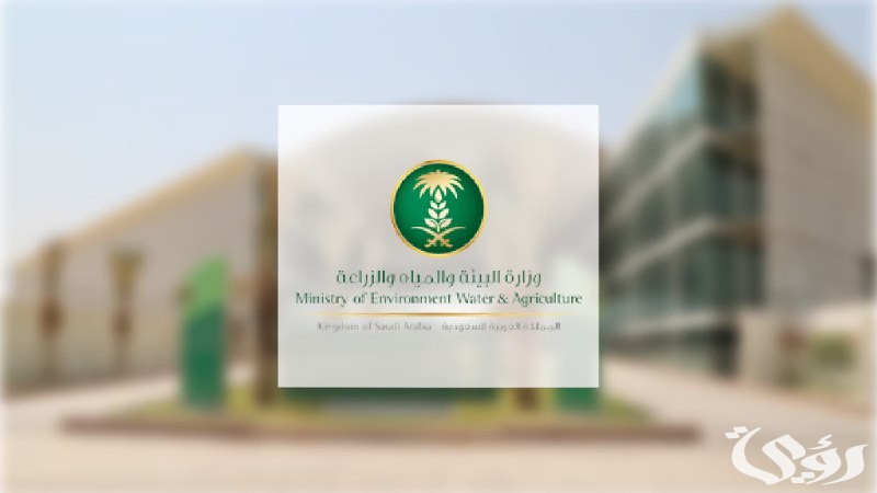 “وزراة الزراعة” تعلن البدء في إنشاء المصانع داخل المزارع