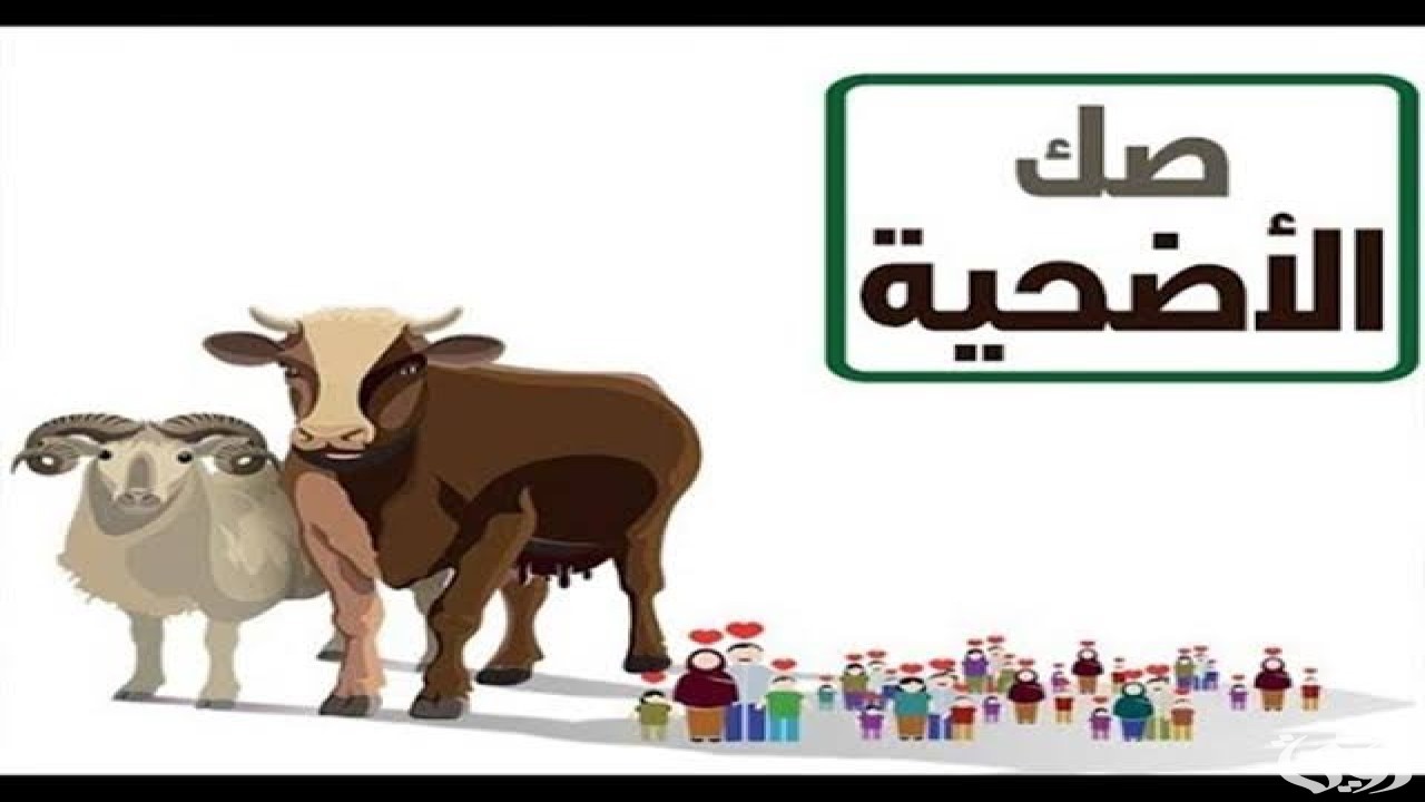 اسعار صك الأضحية 2026.. وكيف يوزع صك الأضحية؟