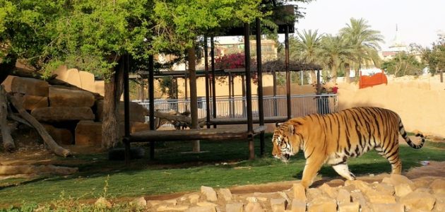 كود خصم حديقة الحيوان الرياض شغال 1 كود خصم حديقة الحيوان الرياض مجرب وفعال
