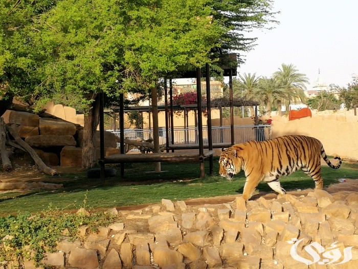 كود خصم حديقة الحيوان الرياض شغال