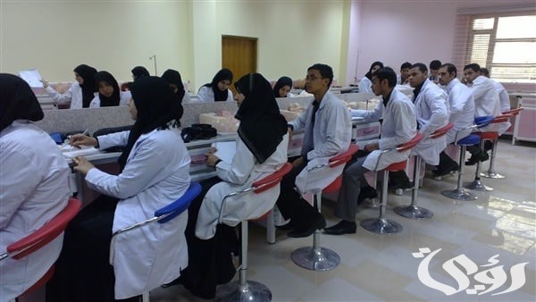 تنسيق التمريض بعد الاعدادية 2024 محافظة الجيزة تنسيق التمريض بعد الاعدادية 2024 محافظة الجيزة