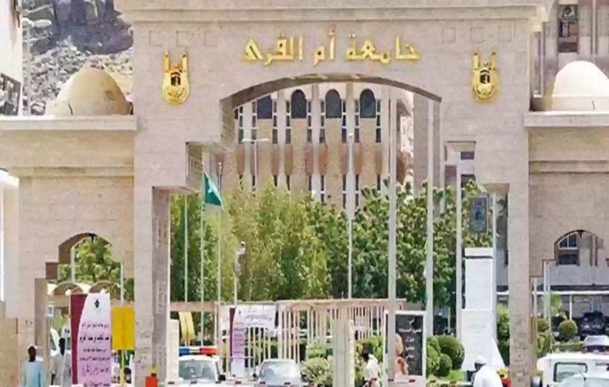نسب القبول في جامعة أم القرى 1447 للبنات والشباب
