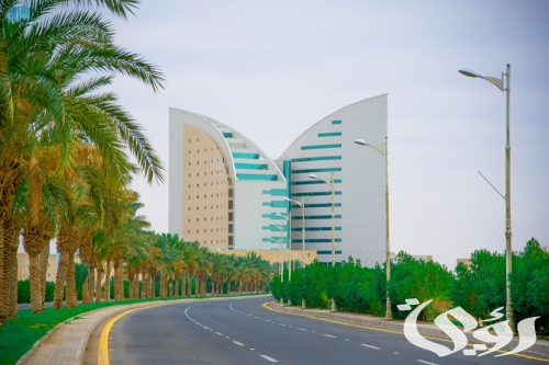 جامعة نجران تعلن إنطلاق برامج تدريبية مجانية لأفراد المجتمع