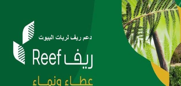 "وزارة البيئة".. خطوات الاستعلام عن دعم ريف عن برقم الهوية 1447 1 استعلام عن دعم ريف عن برقم الهوية 1446
