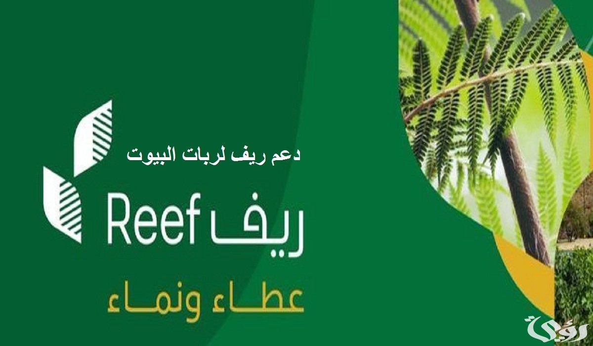 “وزارة البيئة”.. خطوات الاستعلام عن دعم ريف عن برقم الهوية 1447