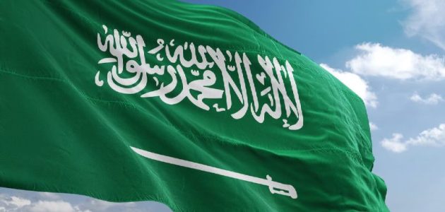 السعودية تستقطب العقول النادرة والكوادر العملية لمواكبة التطور 1 السعودية تستقطب العقول النادرة: خطوة نحو تحقيق رؤية 2030