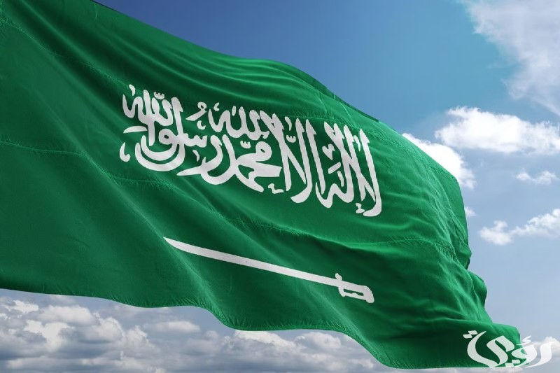 السعودية تستقطب العقول النادرة والكوادر العملية لمواكبة التطور