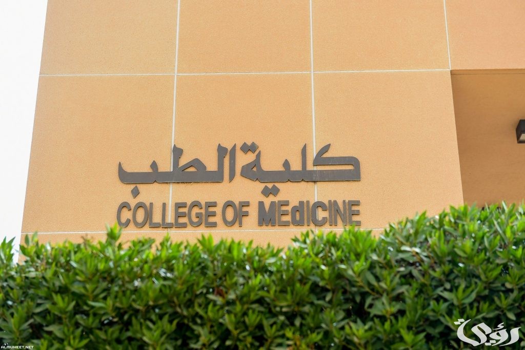 توقعات تنسيق كلية طب لطلاب الثانوية العامة 2026-2026
