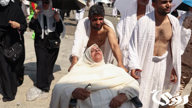مع استمرار التحقيقات بوفيات الحجاج.. مصر تلغي تراخيص 18 شركة سياحة جديدة بسبب مخالفات الحج