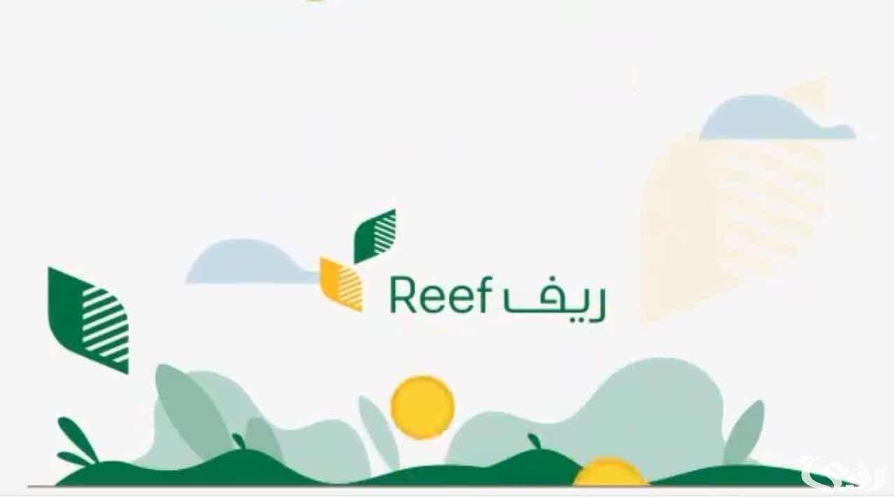 متى ينزل دعم ريف هذا الشهر؟