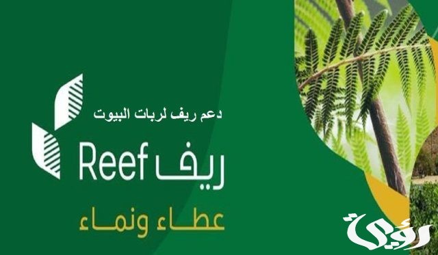متى ينزل دعم ريف هذا الشهر العد التنازلي لموعد صرف ريف متى ينزل دعم ريف هذا الشهر العد التنازلي لموعد صرف ريف