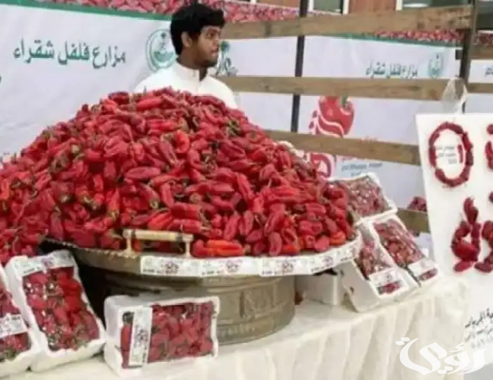 “محافظ شقراء” يعلن تدشين فعاليات مهرجان فلفل شقراء الرابع