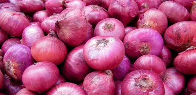هل البصل مسموح في الكيتو ام ممنوعة؟ هل البصل مسموح في الكيتو ام ممنوعة؟