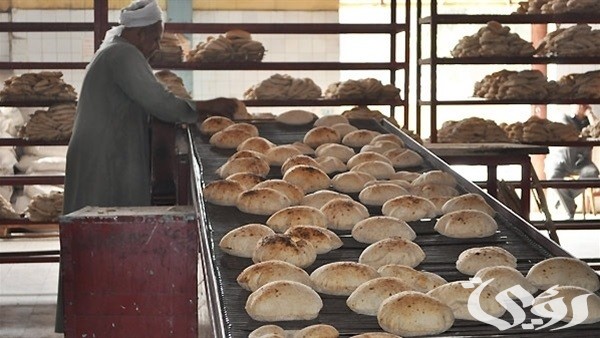 دراسة جدوى مشروع فرن عيش بلدي دراسة جدوى مشروع فرن عيش بلدي