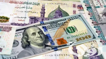 ما هو معنى تحرير سعر الصرف “التعويم” وتأثيره على الاسعار