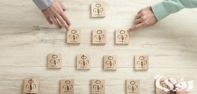 الفرق بين المنظمات الربحية وغير الربحية الفرق بين المنظمات الربحية وغير الربحية