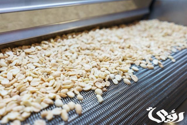 دراسة جدوى مشروع تحميص المكسرات دراسة جدوى مشروع تحميص المكسرات