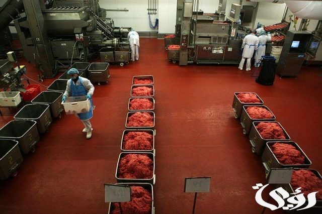 دراسة جدوى مشروع تصنيع اللحوم المعلبة دراسة جدوى مشروع تصنيع اللحوم المعلبة