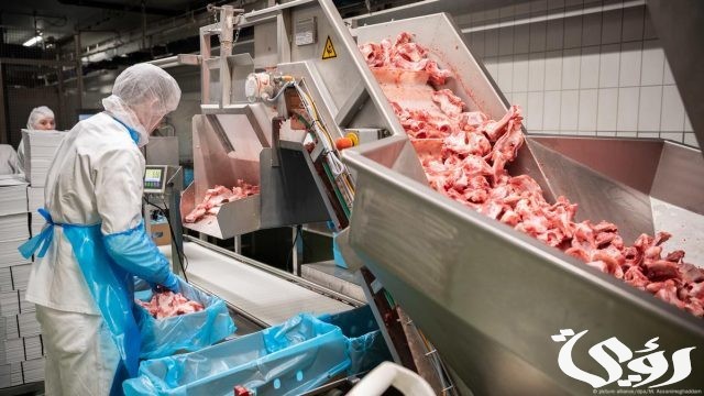 دراسة جدوى مشروع تصنيع اللحوم المعلبة دراسة جدوى مشروع تصنيع اللحوم المعلبة