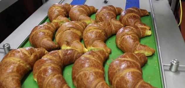 دراسة جدوى مشروع صناعة المعجنات وأرباحه الشهرية 1 دراسة جدوى مشروع صناعة المعجنات