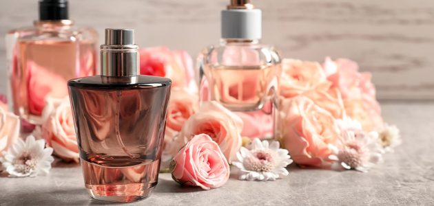 دراسة جدوى مشروع عطور متطلبات وأرباح المشروع 1 دراسة جدوى مشروع عطور كامل PDF