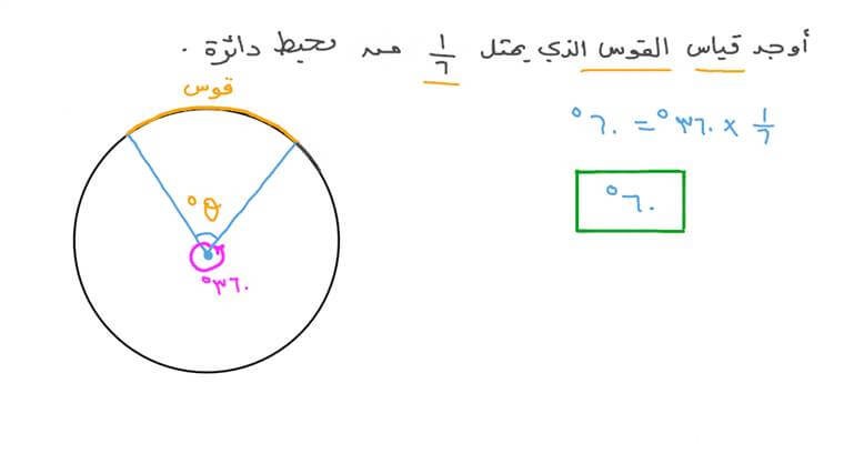 قانون مساحة الدائرة للصف السادس الابتدائي ومسائل تطبيقه